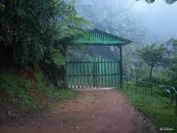 Cerro Guilarte, Adjuntas