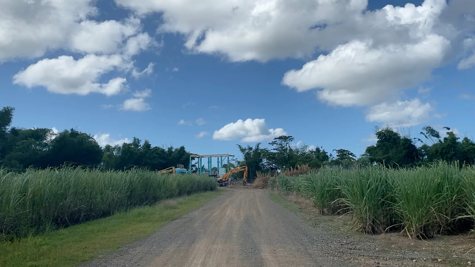 Cañaverales, Aguada