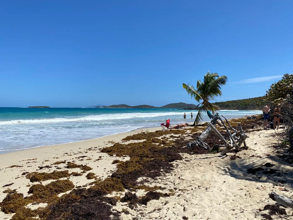 Playa Zoni, Culebra