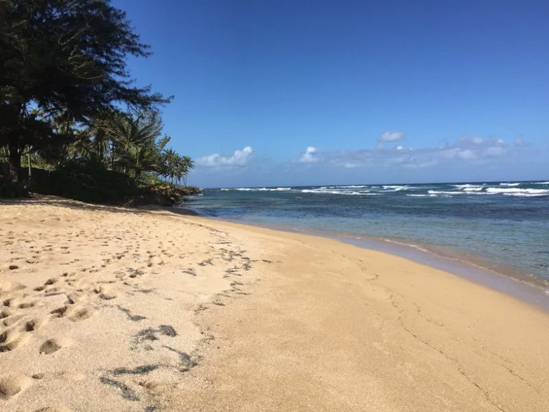 Playa del resort, Dorado
