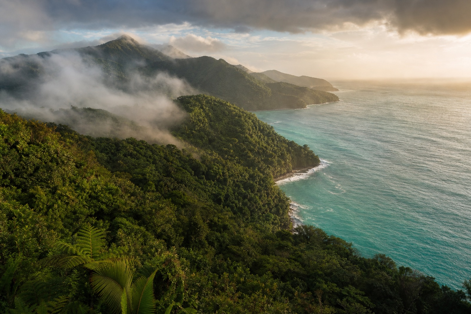 Montañas y bosque pluvial, localización de producción en Puerto Rico